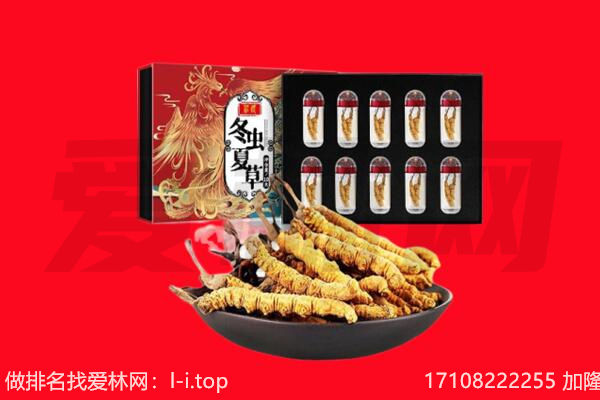株洲市回收虫草.jpg